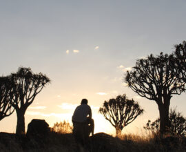 Viagens com Autores: o que são e o que trazem de único