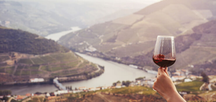O Douro em viagem