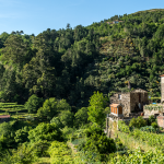Minho – entre fortalezas e a natureza | Pinto Lopes Viagens