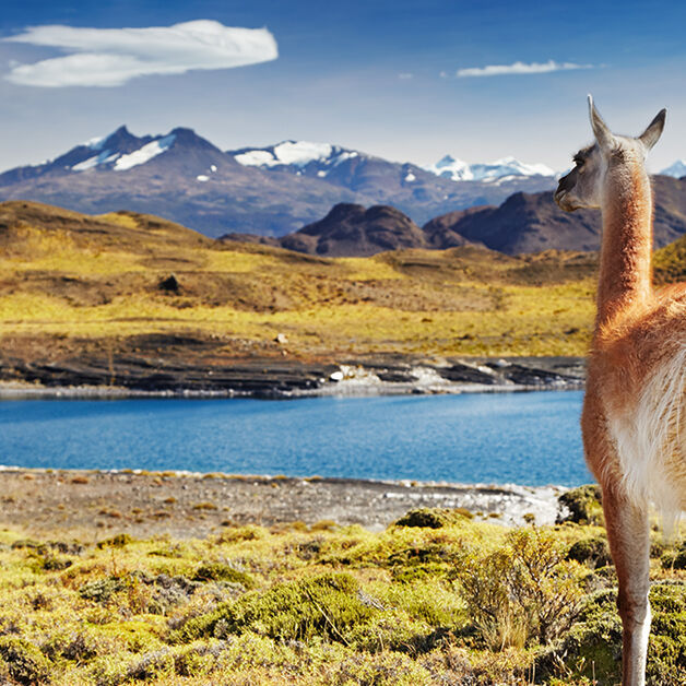 Chile,-Torres-del-paine Chile,-Torres-del-paine